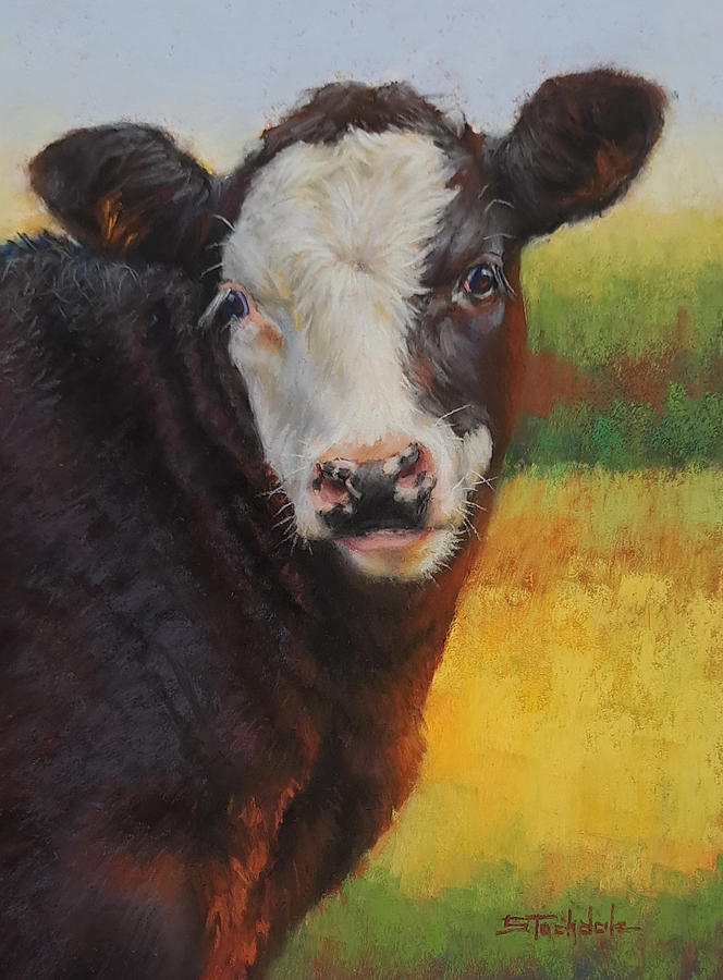 Masked Calf Portrait Pastel by Margaret Stockdale