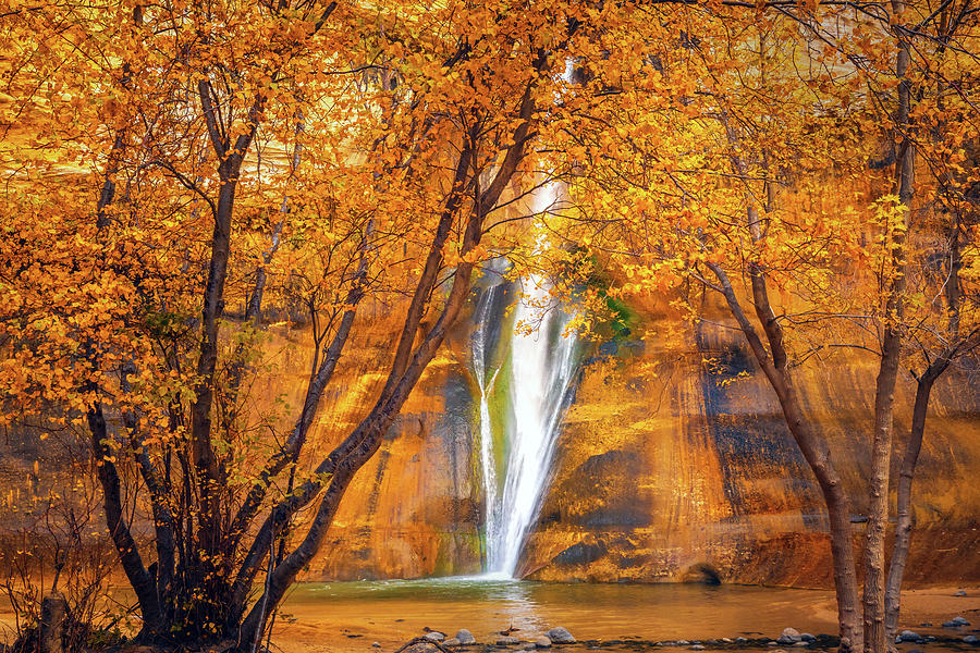 Fall Photograph - Calf Creek Autumn Gold Frame by Wasatch Light