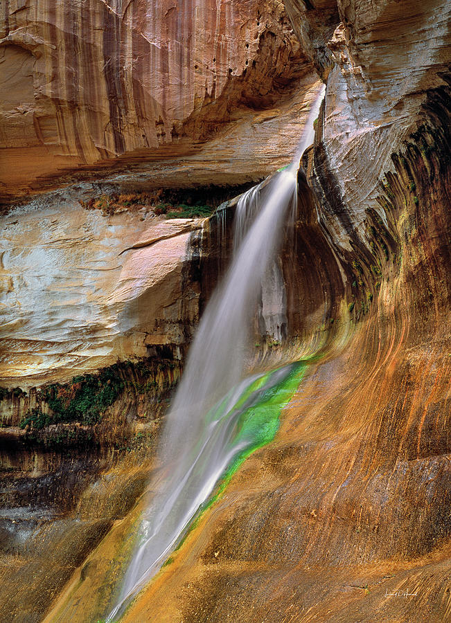 Calf Creek Falls, southern Utah Photograph by Leland D Howard