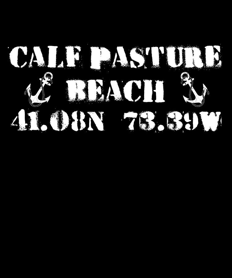 Calf Pasture Beach Norwalk Digital Art by Flippin Sweet Gear