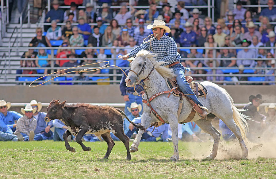 Calf Roper Photograph by Rob Brown - Fine Art America