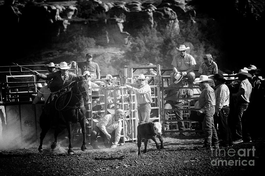 Calf Roping Photograph by Bob Christopher Fine Art America