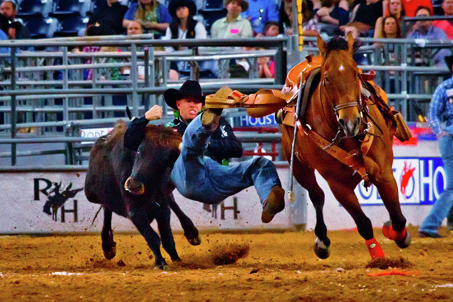 Hazing at the Rodeo Photograph by Linda Unger