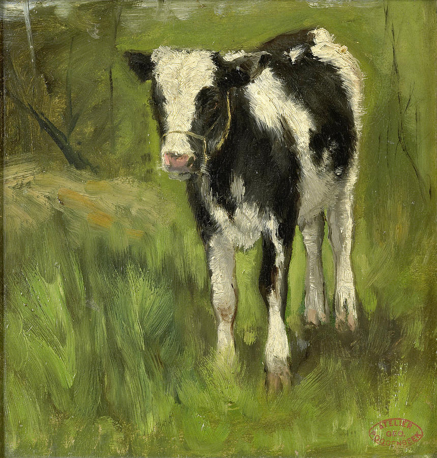 Calf, spotted black and white Painting by Geo Poggenbeek