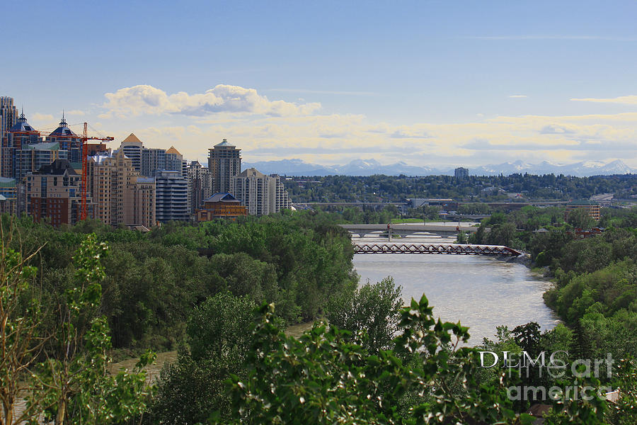 Calgary Bow River Bridge Photograph by Donna L Munro