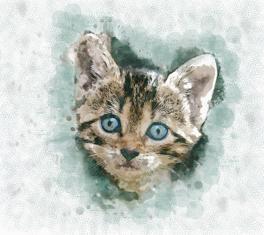 Calico Kitten Painting Digital Artwork Mixed Media by Sandi OReilly