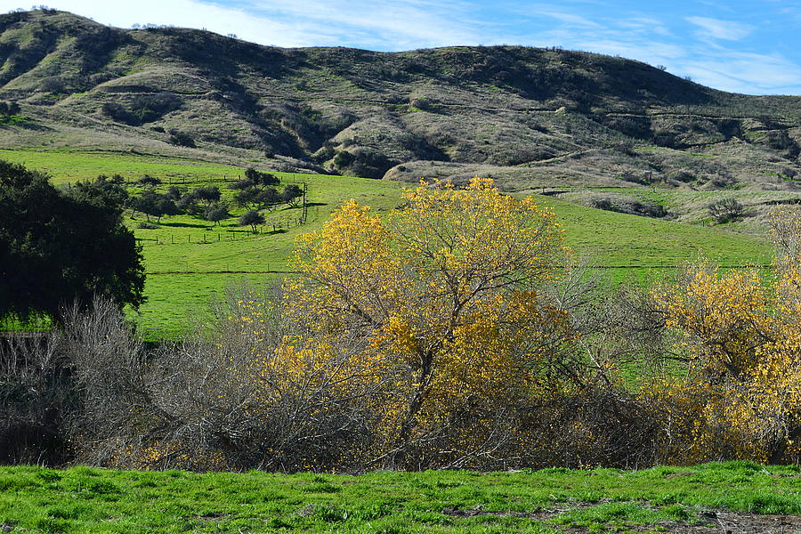 California Back Roads - Two Photograph by Glenn McCarthy Art and Photography