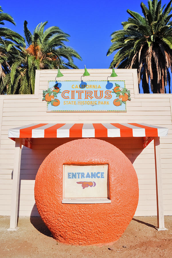 California Citrus State Historic Park Photograph by Kyle Hanson
