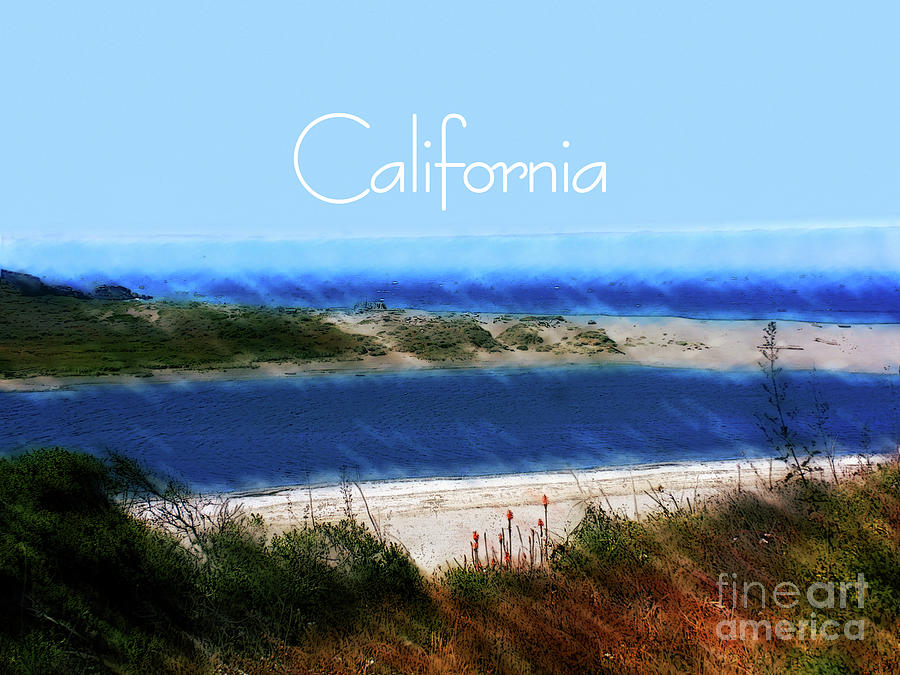 Landscape Painting - California Coast At Gualala by Two Hivelys