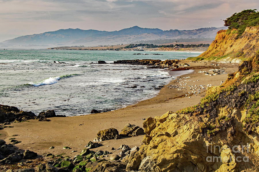  California Coast Photograph by Cheryl Del Toro
