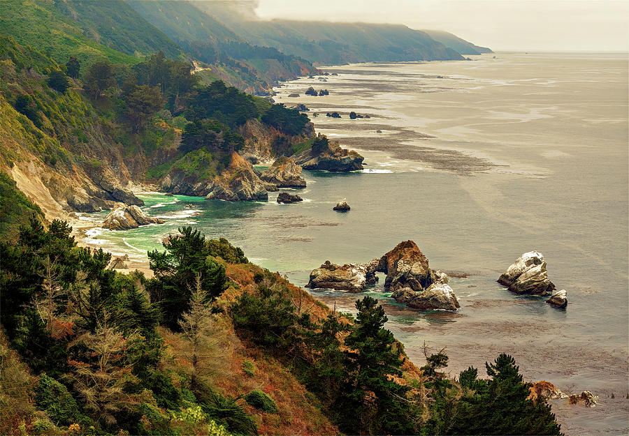 California Coast Photograph by Maria Coulson