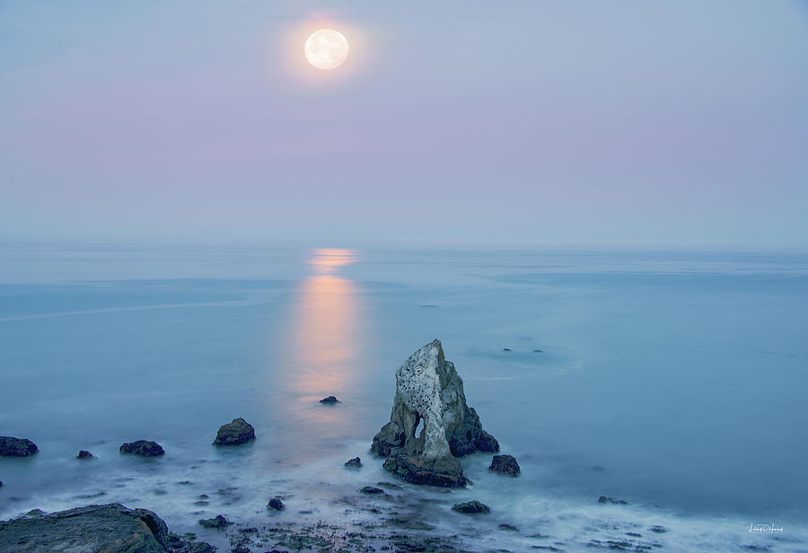 California Coast Moonlight Photograph by Leland D Howard