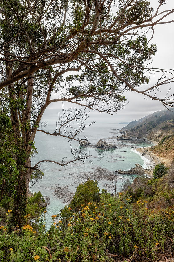 California Coast Near the Julia Pfeiffer State Park, vertical Photograph by Belinda Greb