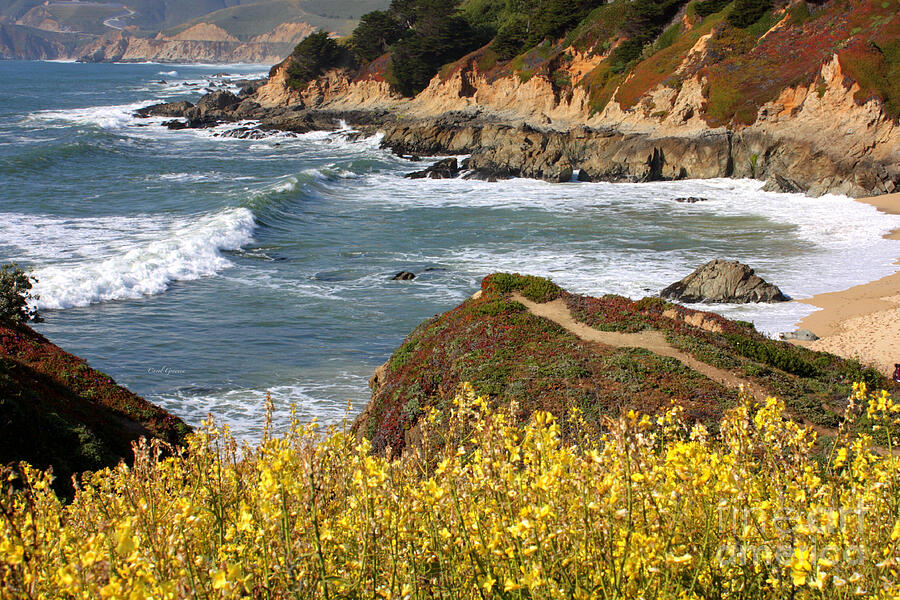 California Coast Overlook Photograph by Carol Groenen