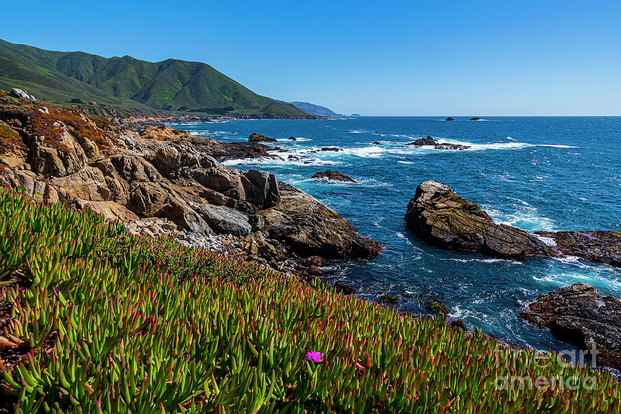 California Coast Photograph by Rich Cruse