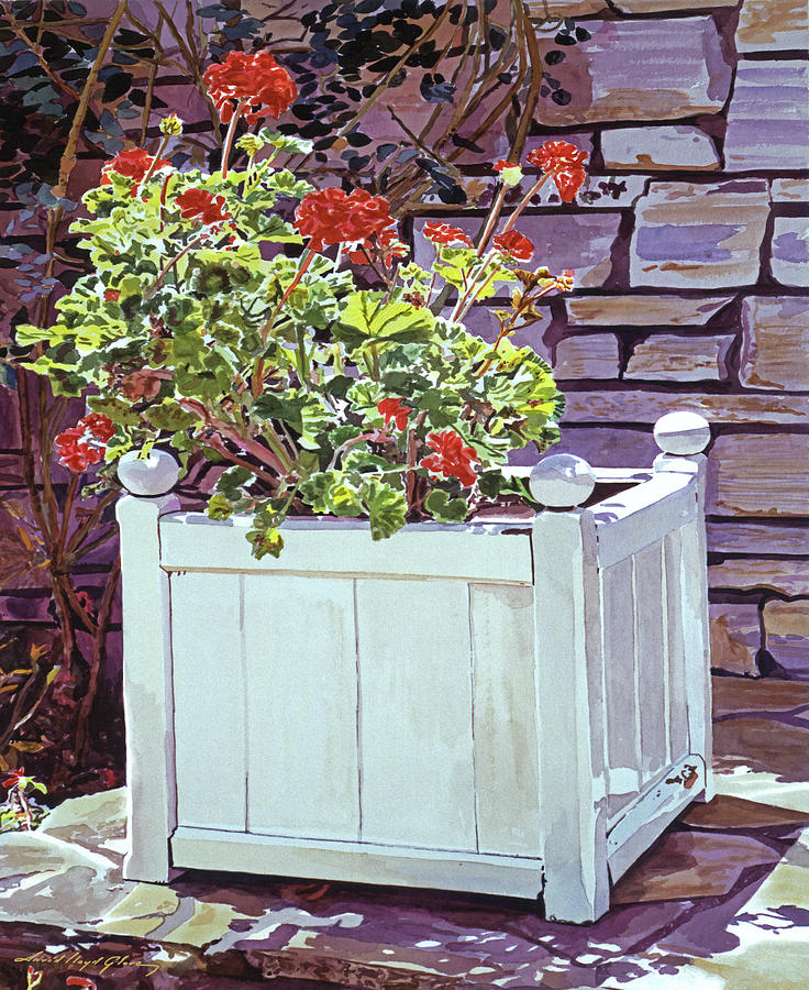 California Geraniums Painting by David Lloyd Glover