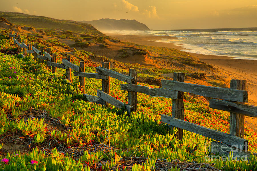 California Golden Coast Photograph by Adam Jewell