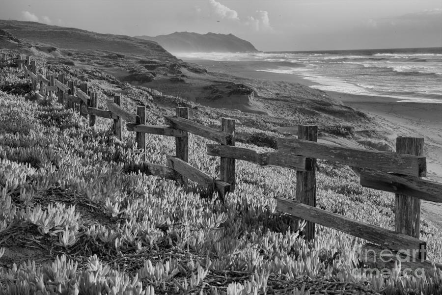 California Golden Coast Black And White Photograph by Adam Jewell