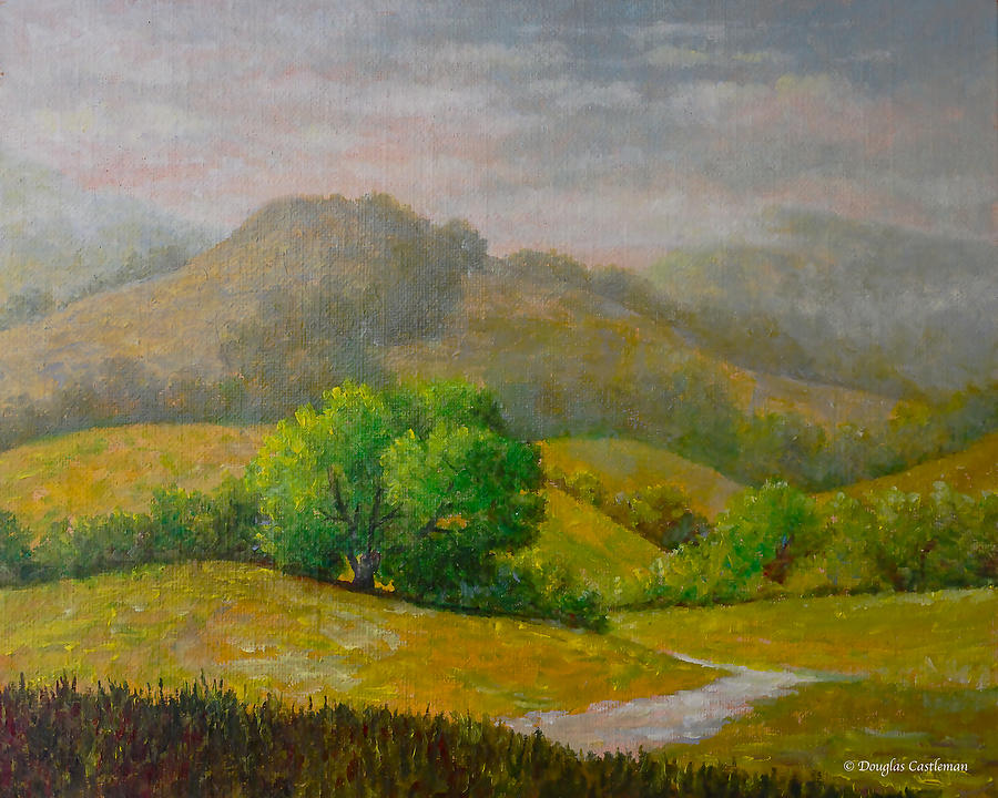 California Hills Painting by Douglas Castleman