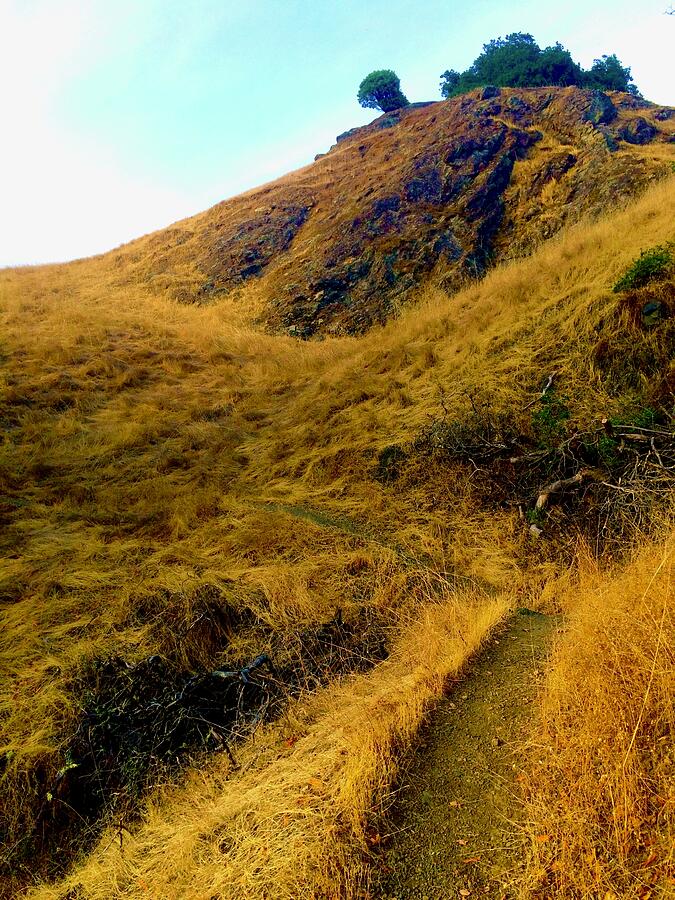 California Hillside 2 Photograph by Brandon Strellis California Hillside 2 Photograph by Brandon Strellis