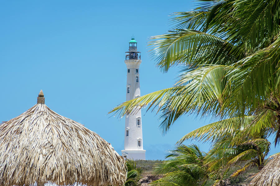 California Lighthouse Aruba Photograph by Debra Martz