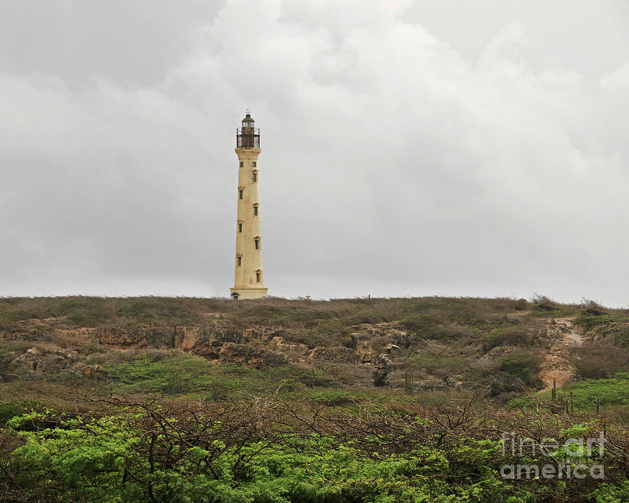 California Lighthouse in Aruba  0923 Photograph by Jack Schultz