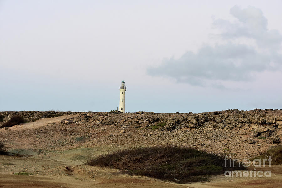 California Lighthouse In Aruba Off In The Distance Photograph By DejaVu   California Lighthouse In Aruba Off In The Distance Dejavu Designs 