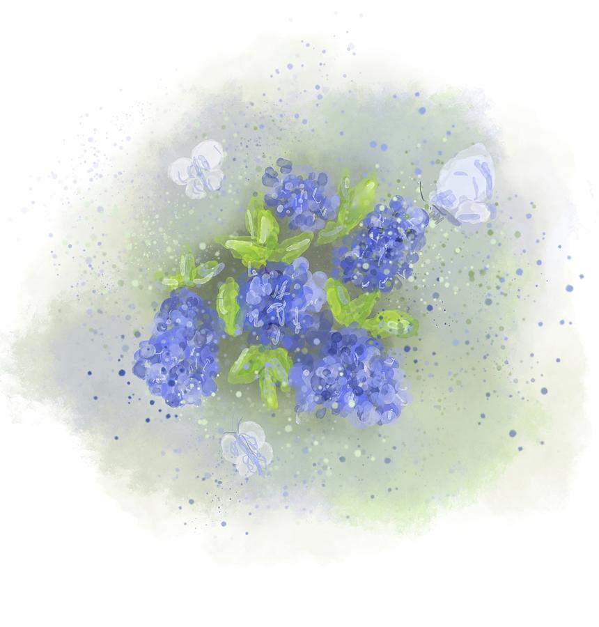 Nature Mixed Media - California Lilac by Clare Walker Nature Mixed Media - California Lilac by Clare Walker