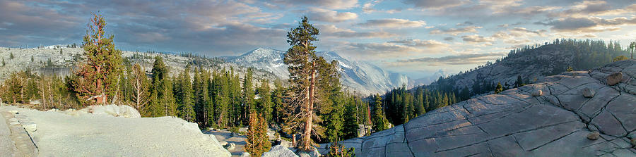 California Mountains Glacier Rocks Trees panorama Photograph by Dan Carmichael
