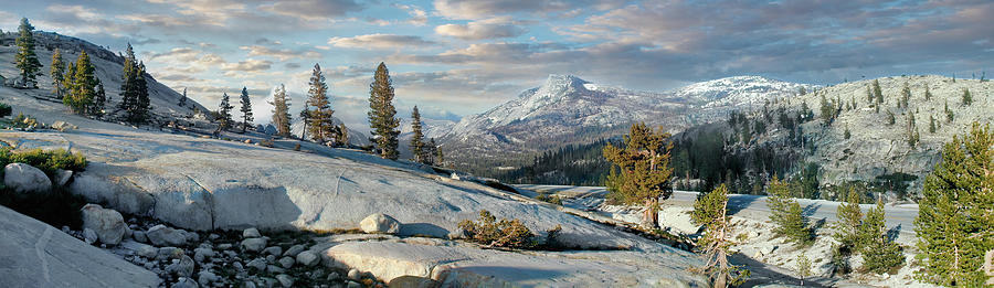 California Mountains Tioga Pass Rocky Paradise panorama Photograph by Dan Carmichael