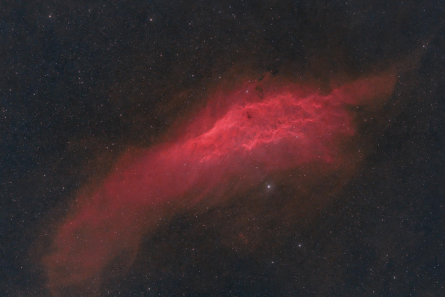 California Nebula Photograph by Timothy McIntyre
