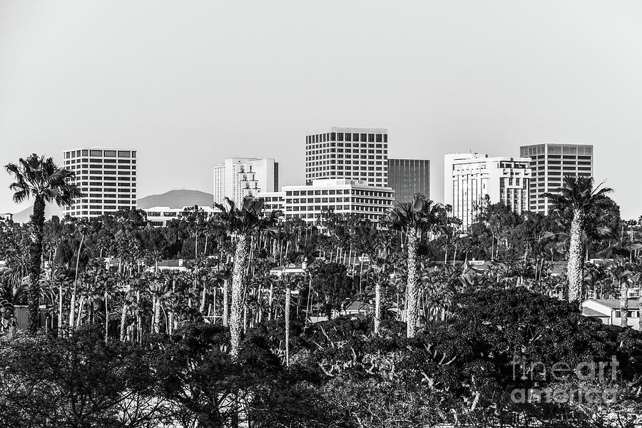 California Newport Beach Skyline Black and White Photo Photograph by Paul Velgos