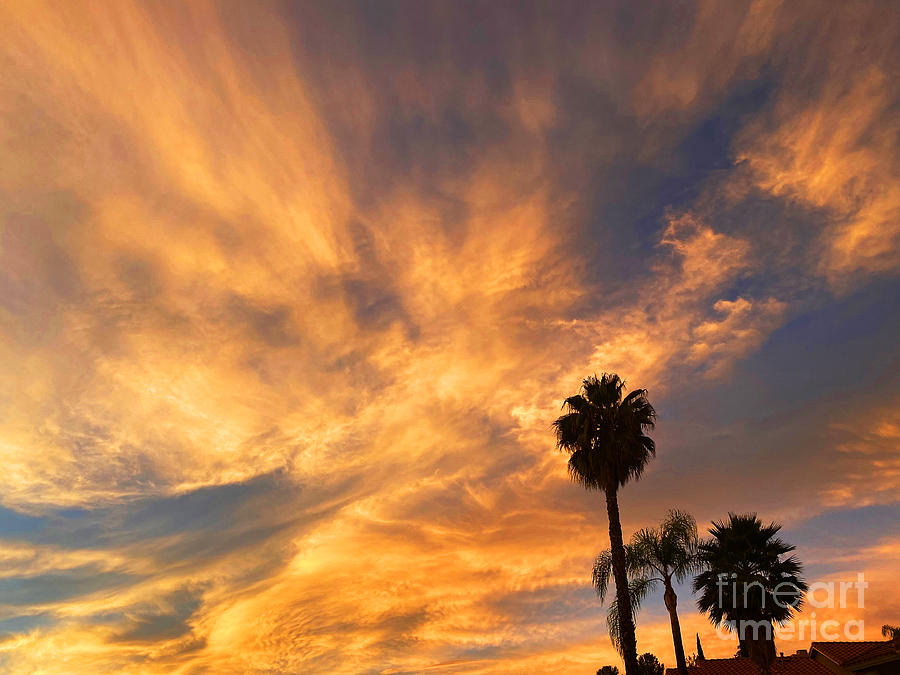 California October Sunset Photograph by Brian Watt