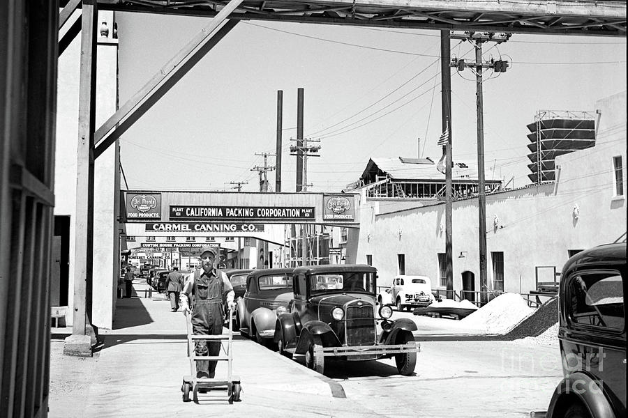 Corporation Photograph - California Packing Corporation, Plant 101, Del Monte Foods , Ca  1945 by Monterey County Historical Society