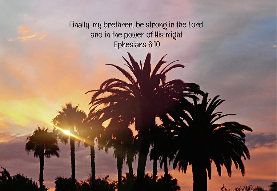 California Palms and Scripture Photograph by Gaby Ethington