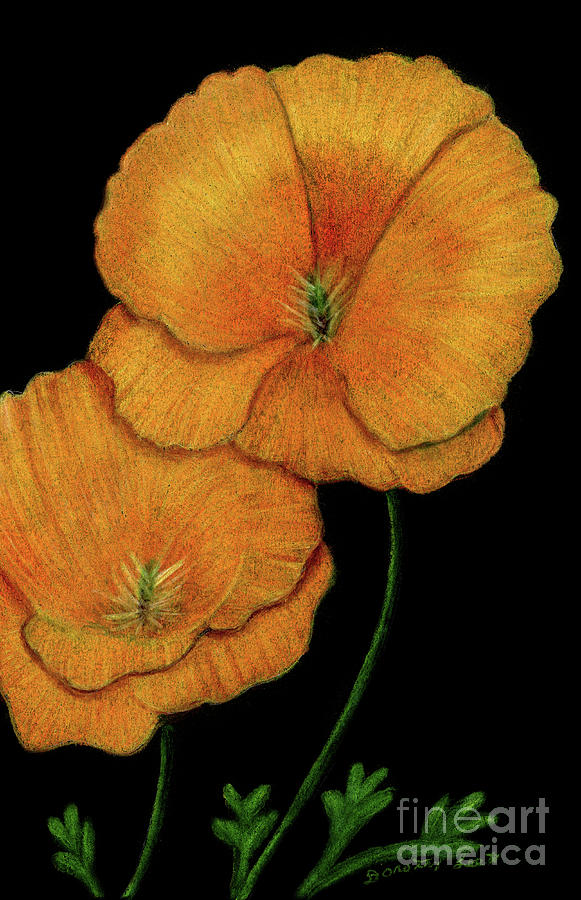 California Poppies Painting by Dorothy Lee