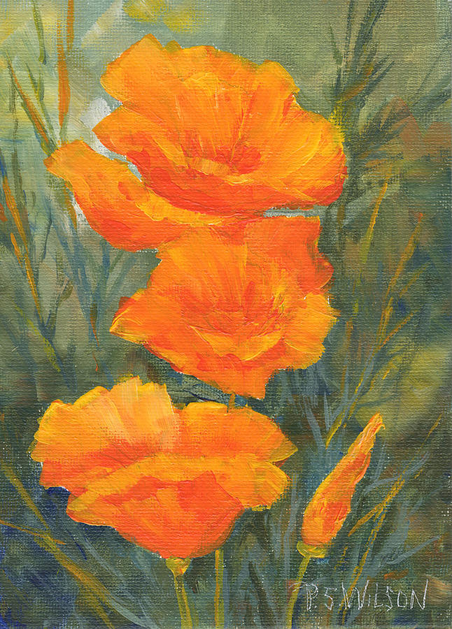 California Poppies  Painting by Peggy Wilson