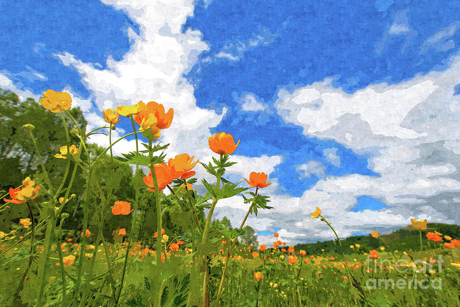 California Poppies Under Blue Skies Painting by Denise Dundon