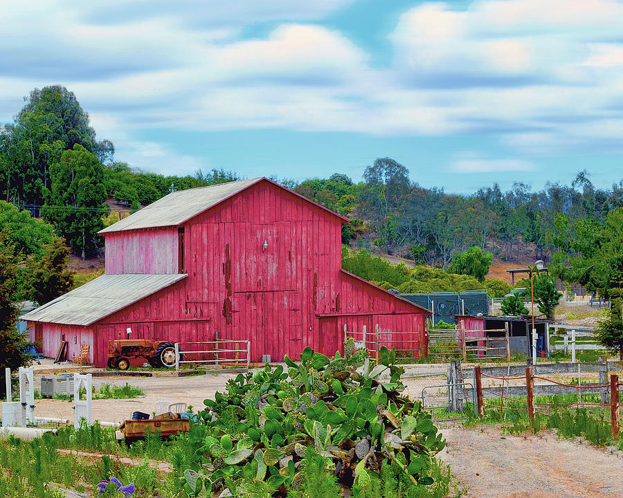 Barn Photograph - California Red Barn by William Havle