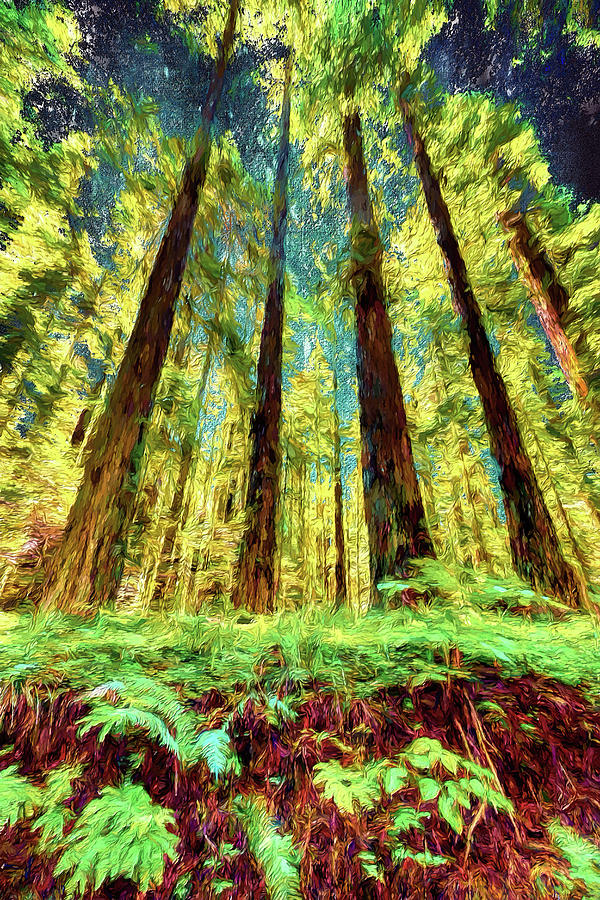 California Redwoods and Ferns ap 120 Painting by Dan Carmichael