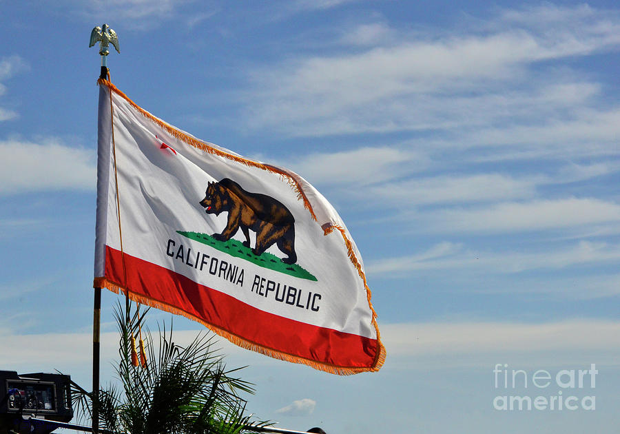 California Republic Flag Photograph by Debby Pueschel