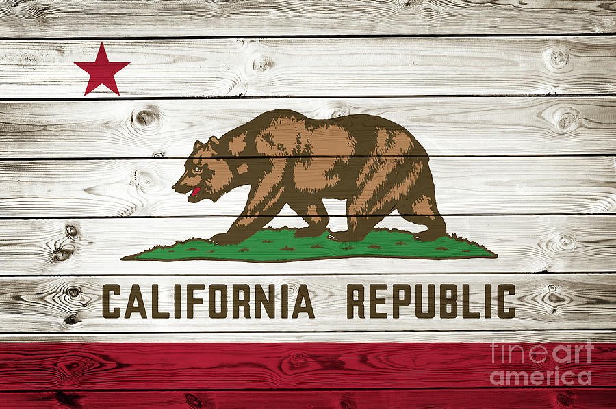 California Republic state flag Photograph by Delphimages Flag Creations