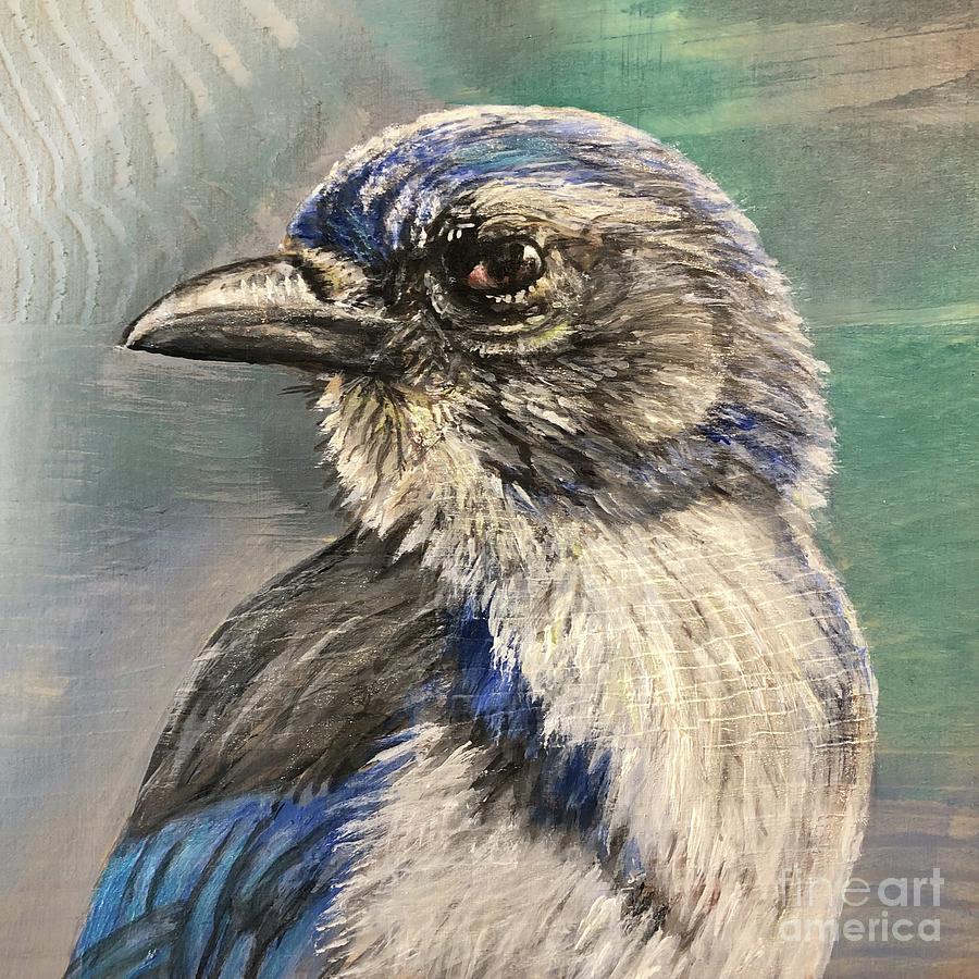 California Scrub Jay Painting by Kelley McAdon - Fine Art America