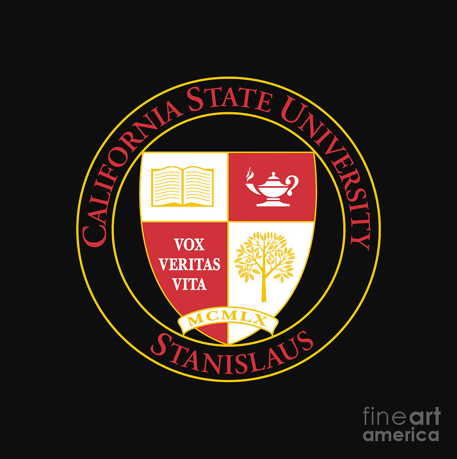 California State University Stanislaus Digital Art By Haniya Wajiha ...