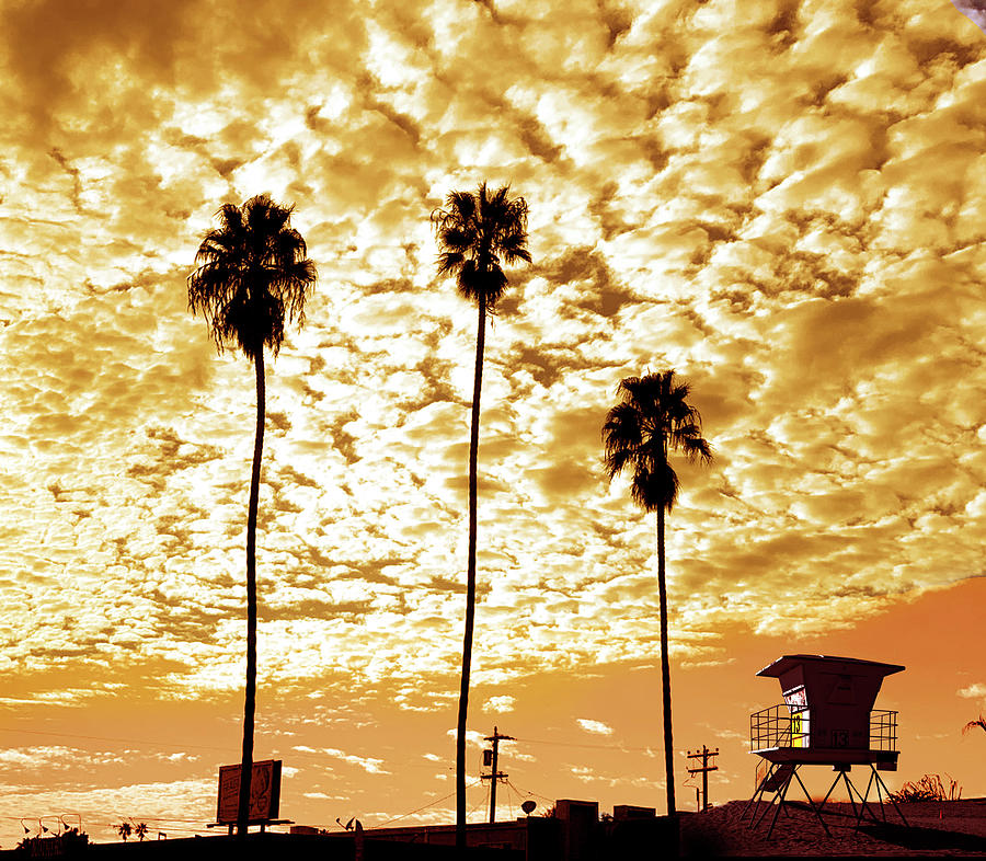 California Sunset With Palm Trees Photograph by Larry Butterworth