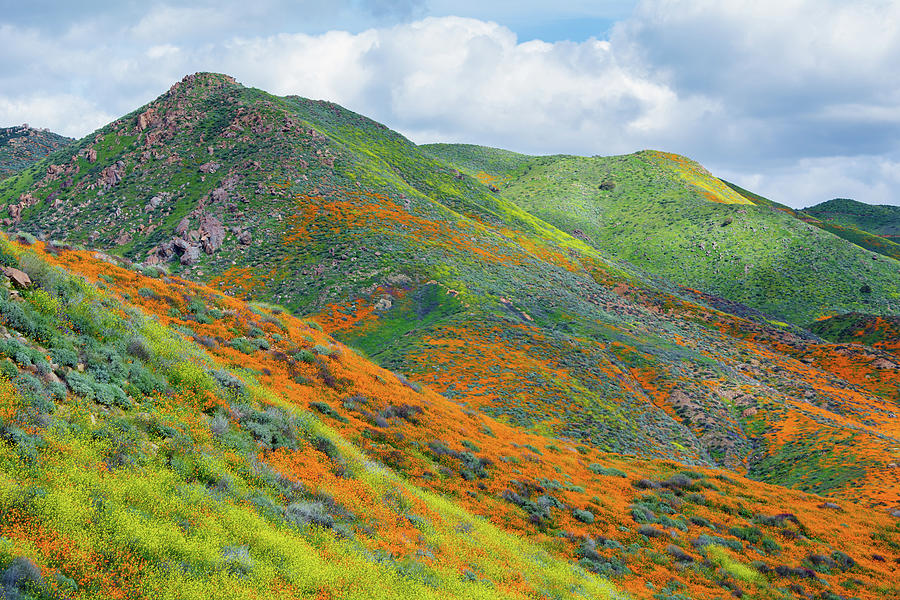 California Super Bloom Canyon Photograph by Kyle Hanson