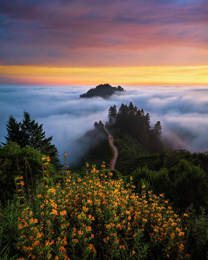 Sunset Photograph - California Wonderland by Alexander Sloutsky