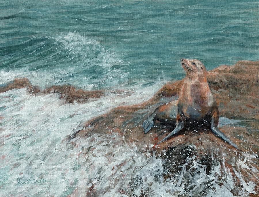 Californian Sea Lion Painting by David Stribbling