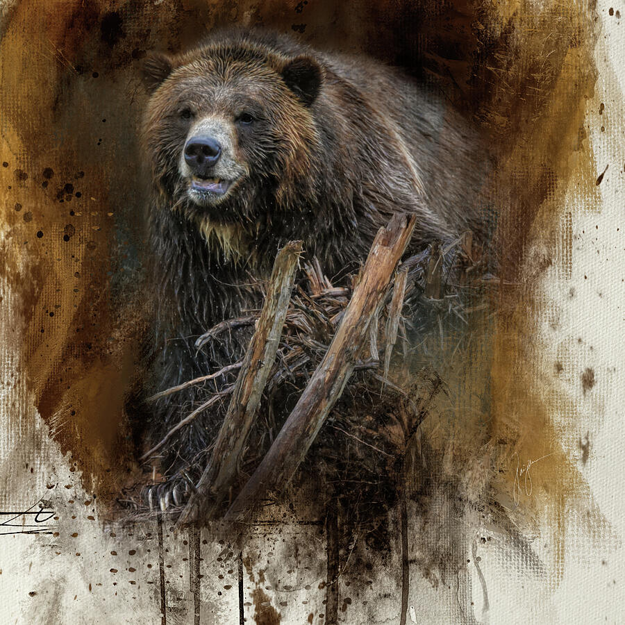 Call of Nature Grizzly Bear Art Photograph by Jai Johnson Call of Nature Grizzly Bear Art Photograph by Jai Johnson