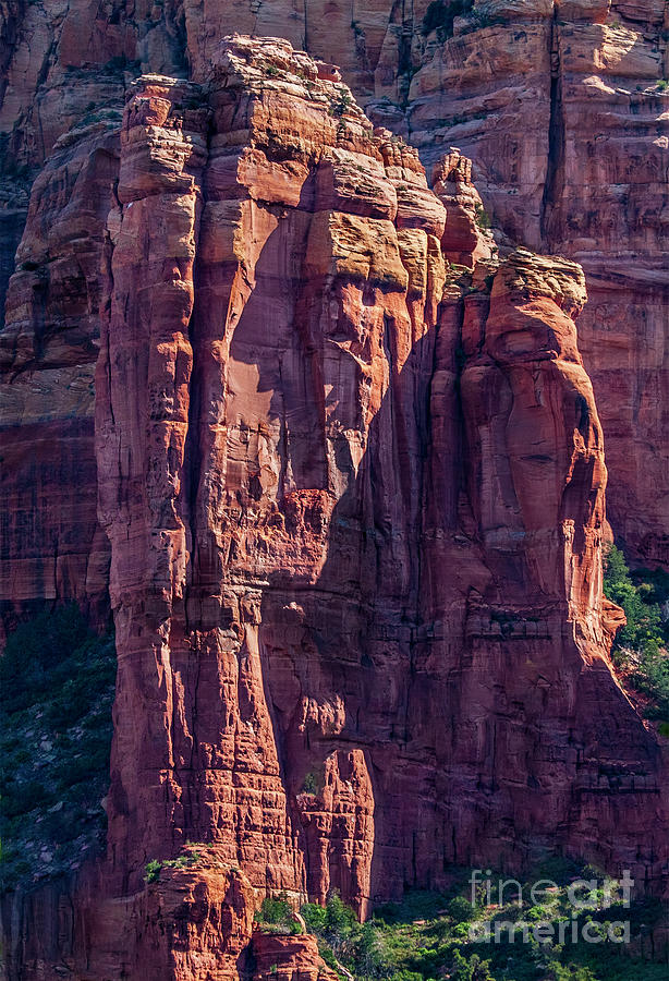 Call Of Sedona Photograph by Roselynne Broussard
